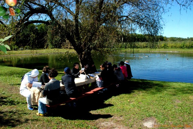 01e8df14bd45b972b1d3681f20e68526_1507258